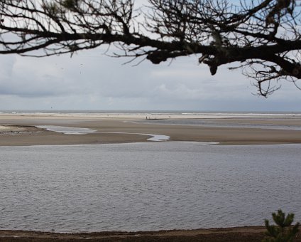 2009-ODABPW-035