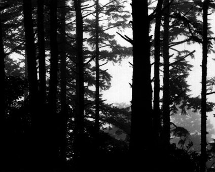 JUKE-PIX-005