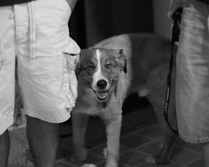 IMG_8767