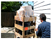 k-day2-10.JPG