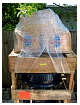 k-day2-14.JPG