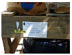k-day2-18.JPG
