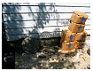 k-day2-34.JPG