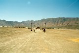 1997-BMAN05-016