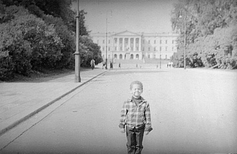 norway-035.jpg - Norwegian Royal Palace