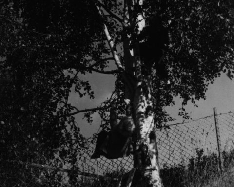 norway-056.jpg - Norway 1967