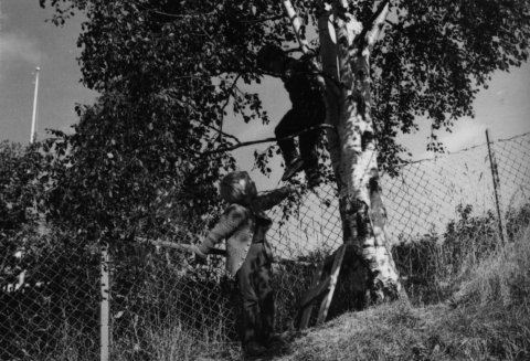 norway-057.jpg - Norway 1967