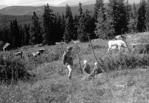 norway-062.jpg - Norway 1967