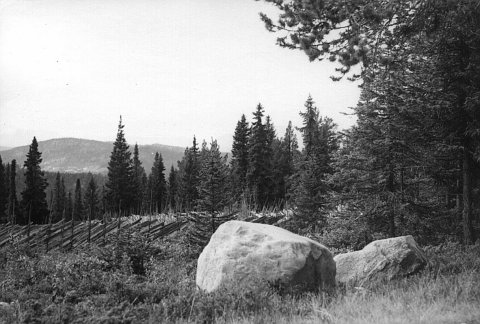 norway-068.jpg - Norway 1967