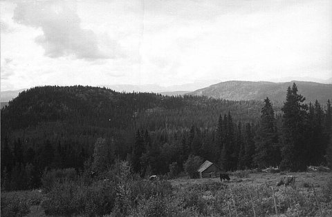 norway-069.jpg - Norway 1967