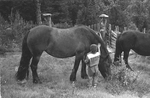 norway-070.jpg - Norway 1967