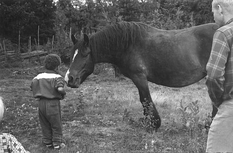 norway-072.jpg - Norway 1967