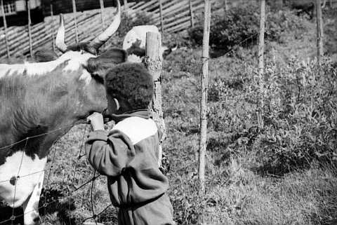 norway-076.jpg - Norway 1967