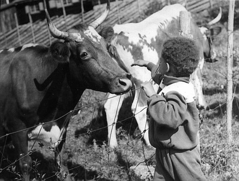 norway-077.jpg - Norway 1967