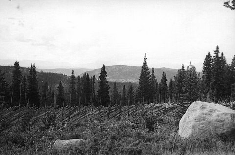 norway-086.jpg - Norway 1967