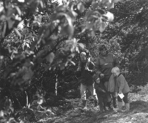 norway-092.jpg - Norway 1967