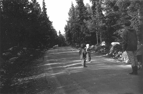 norway-093.jpg - Norway 1967