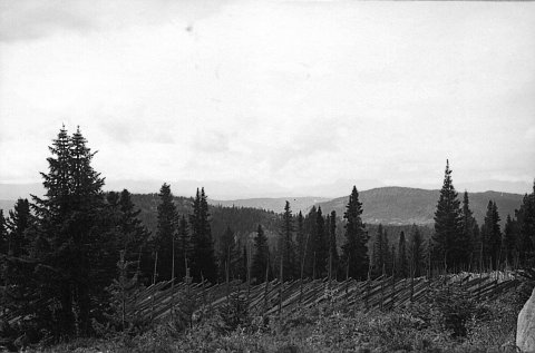 norway-095.jpg - Norway 1967