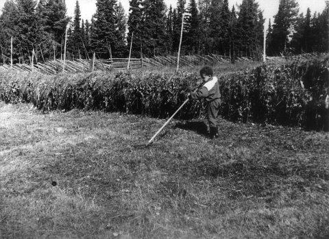 norway-097.jpg - Norway 1967