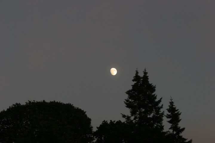 OCF-2006-147.jpg