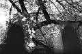 ocf2008-b-107