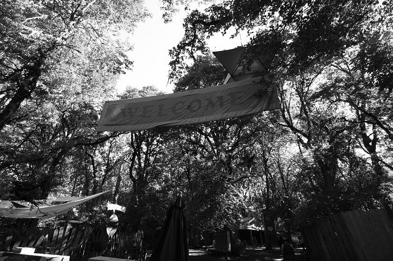 ocf2008-017.jpg