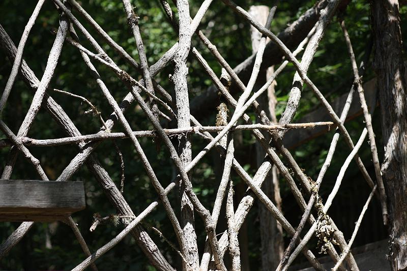 ocf2008-022.jpg