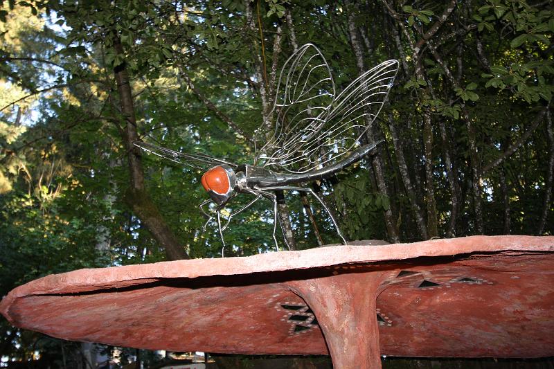 ocf2008-084.jpg